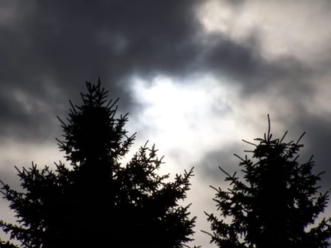 Evening sky