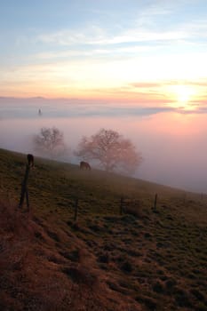 last rays of sunshine over the fog