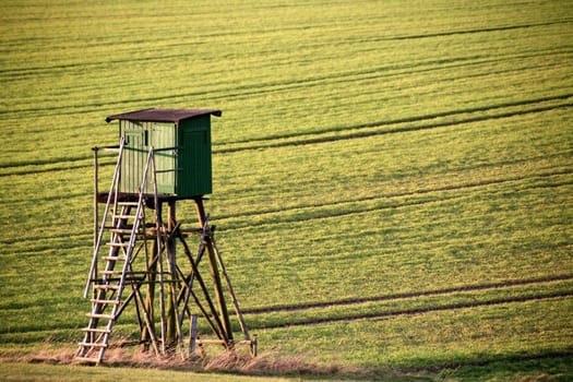Hunter's hide in a field