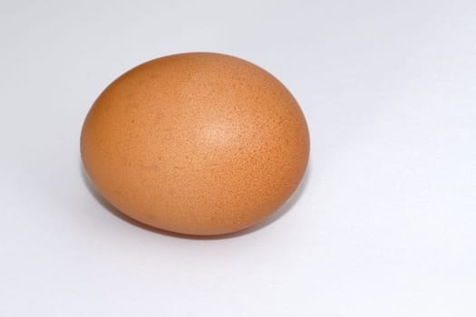 Egg