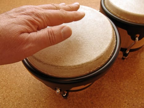 Bongos