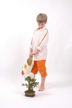 Bonsai Care