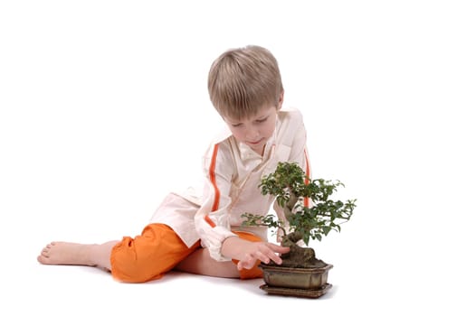 Bonsai Care