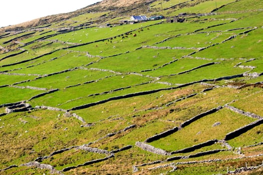 West Irish countryside