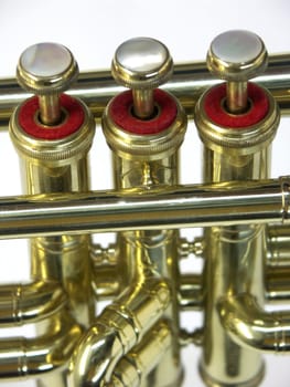 trumpet