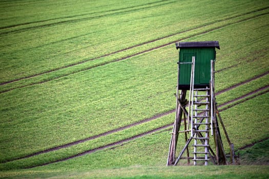 Hunter's hide in a field