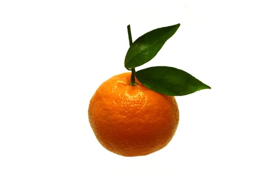EasyPeeler