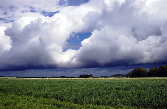 North Sea landscape