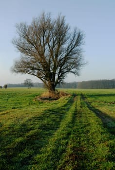 Straight ahead