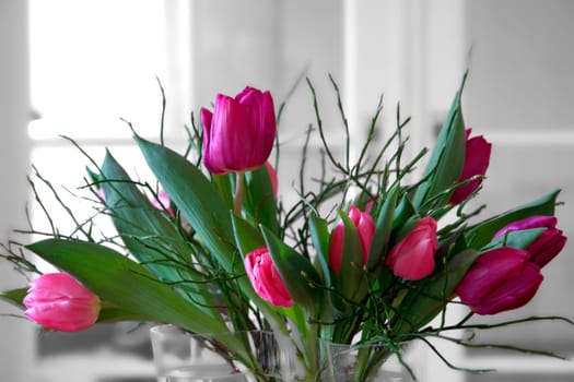 Spring greeting