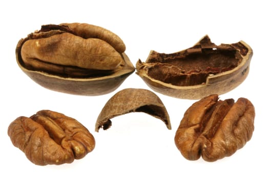 Pecans