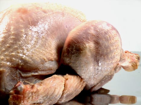 Roast turkey