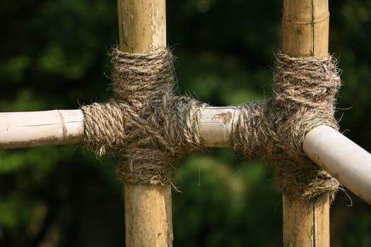 Bamboo fence