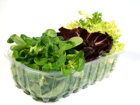 Salad box