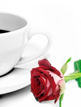 Rose and coffee mug