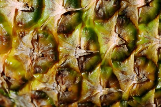 Pineapple Peel Macro