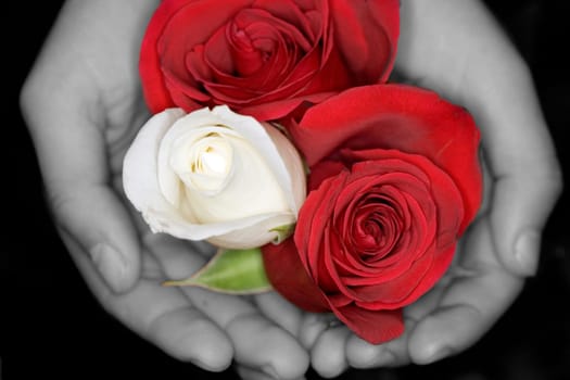 Valentine