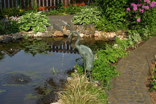 garden pond bordered with plants