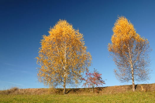 Two in the fall
