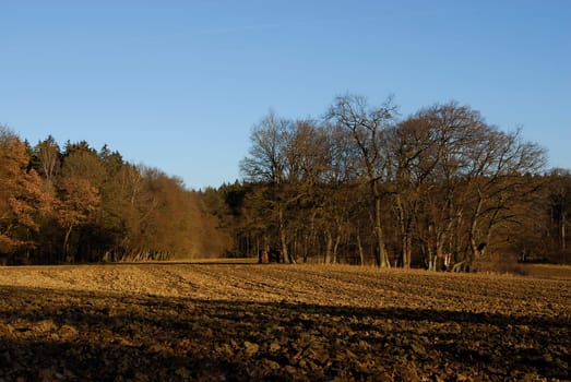 In the countryside