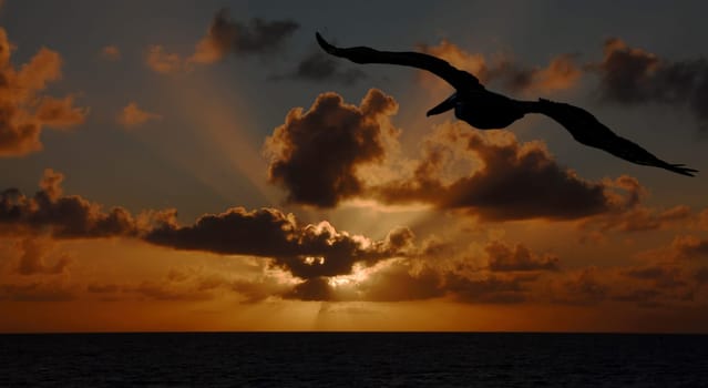 Taken from the southernmost point of the United States,in Key West Florida
