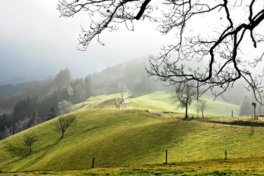 Spring in winter ...