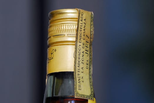 Brandy 5