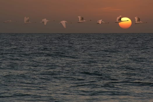 Into the sunset