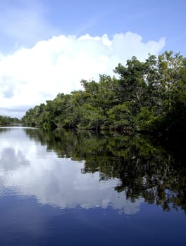 For those seeking peace and quiet,a canoe trip through the rivers and lakes of the Everglades is highly recommended. Although these waters are teeming with crocodiles and alligators,you don't have to reckon with accidents with these animals,as they can be used by humans.