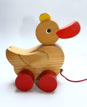 Wood Duck