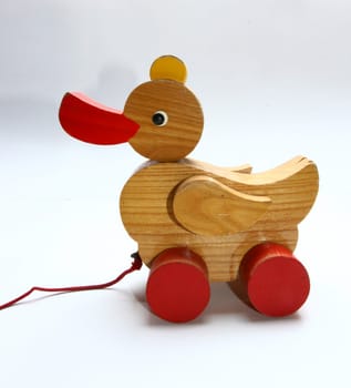 Wood Duck