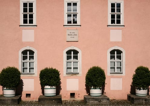 House of Goethe's Friend in Weimar (Thuringia)