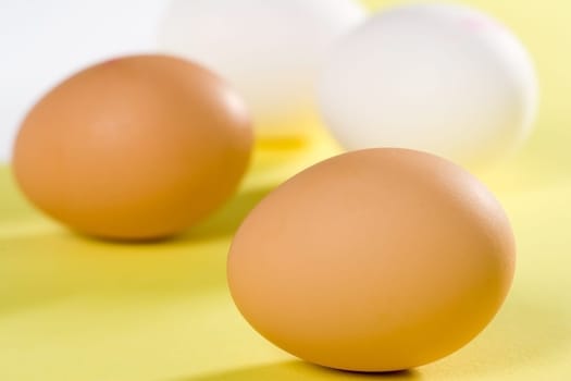 Eggs