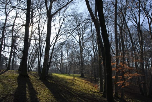 In the park