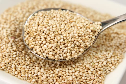 Quinoa