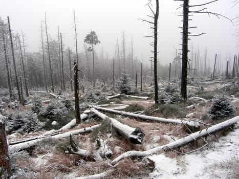 Taken below the Brocken in the Harz Mountains