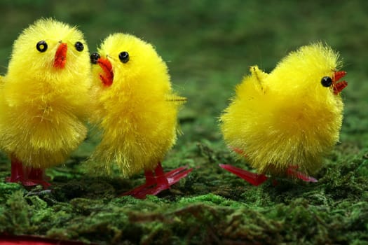 Easter chicks