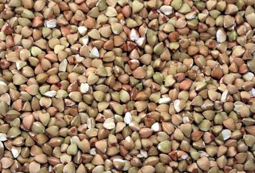 buckwheat