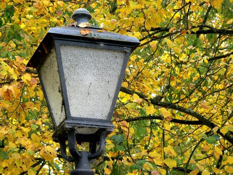 Autumn