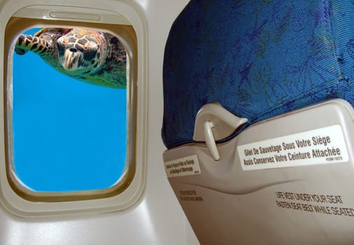 Every air traveler's nightmare. It is beautiful to see coral reefs from a bird's eye view. But when you see the same reefs like this,something is definitely not so funny anymore.