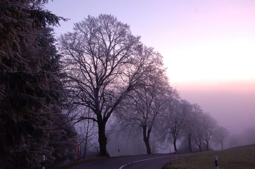 in search of the fog line