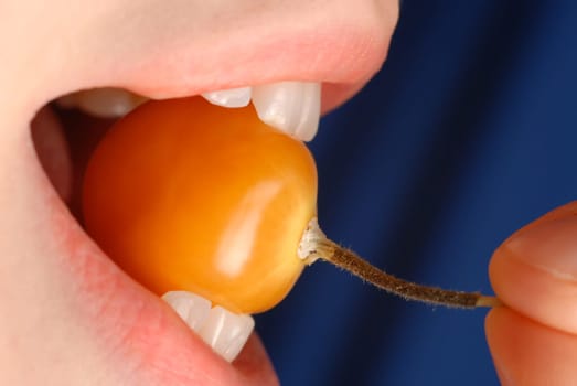 A delicious physalis