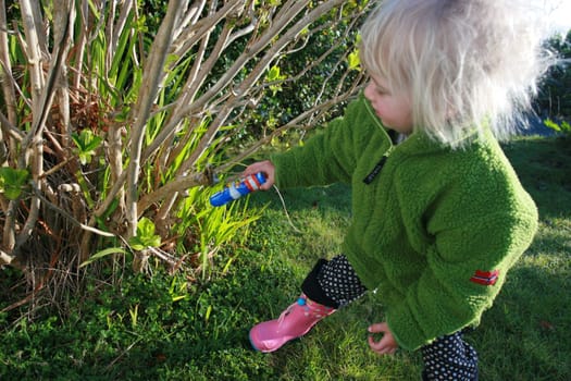 Easter Bunny Hunt I