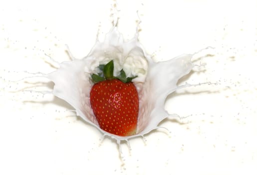 A strawberry falls into milk