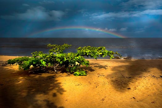 The Light of the Rainbow