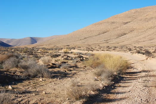 Wadi in the Negev,Israel