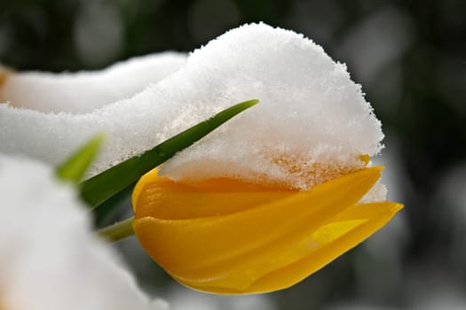 I'm cold ...