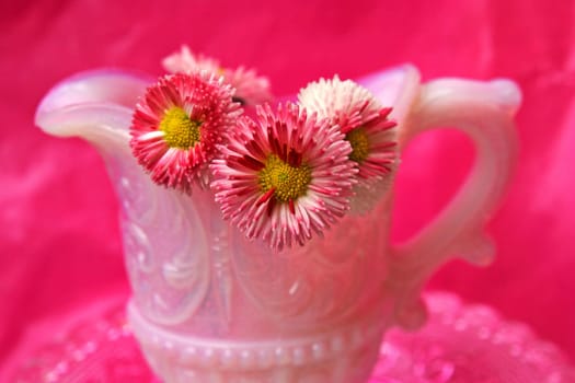 Floral still life