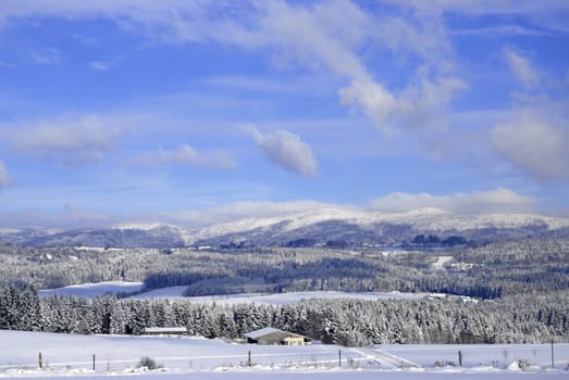 Winter in the Bavarian Forest