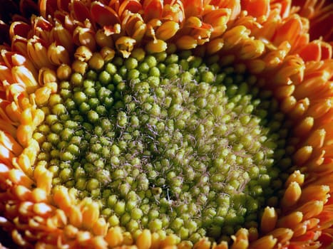Let's take a closer look
